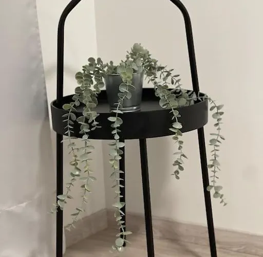 Make Yourself At Apartment *